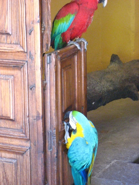 IMG_0656.JPG